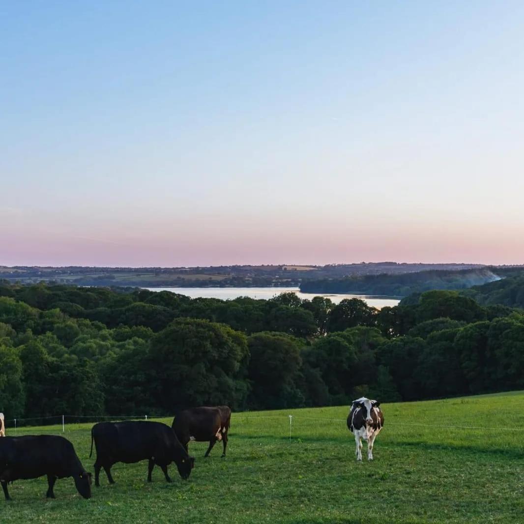 Broomhill Barns Minwear Экстерьер фото